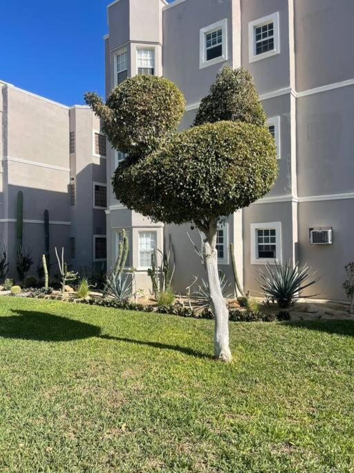 Ferienwohnung Departamento En 1Er Piso 2 Bdr 2Bath Tezal Cabo San Lucas Exterior foto